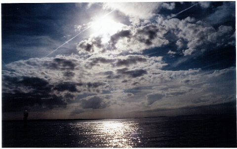 view from boat of river