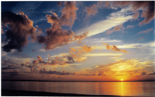 a magnificent sunset