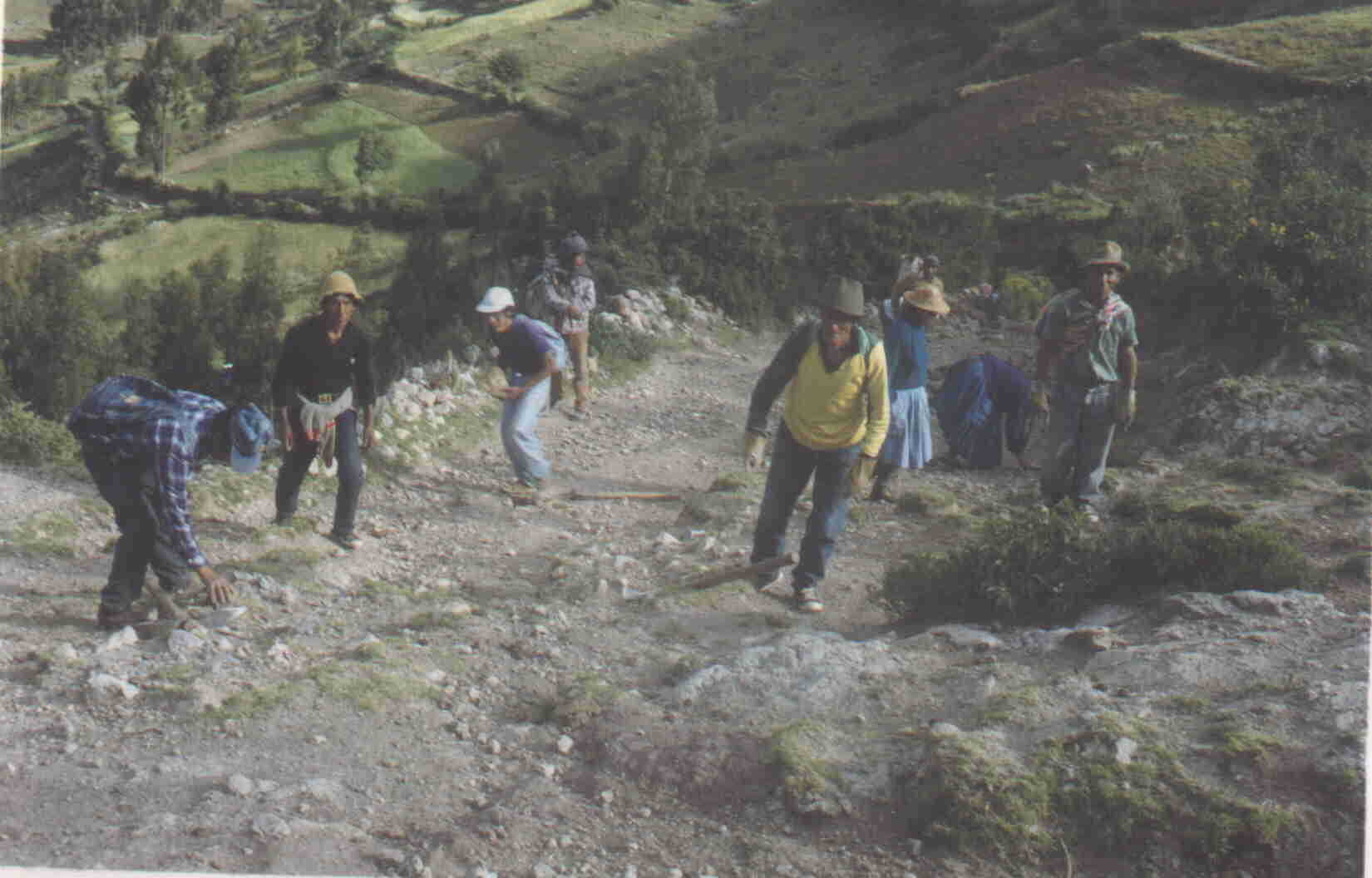 Vista de la zona donde se desarrollar� el proyecto