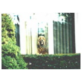 untitled10
