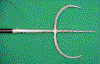 trident.gif (36751 bytes)