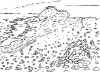 image8.jpg (41584 bytes)