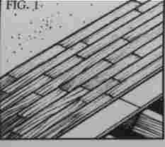 Fig01.jpg (4531 bytes)