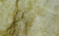 verdant-ash.jpg (7658 bytes)