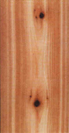 wpcedar02.jpg (8530 bytes)
