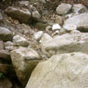uninvited rocks