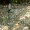 clogged up waterways