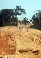 flattening the hill