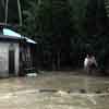 woman braving the flood