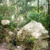 encroaching rocks