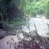 sand deposits after the floods