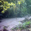 a trail of sand left behind by receding flood