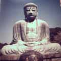 the funky buddha