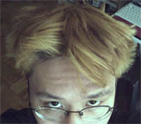 ok, so I didn't comb it today, sue me