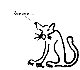 maocat sleeps!