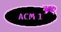 Arnold Chiari 1 Malformation
