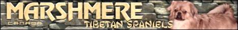 return hyperlink