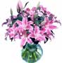 fresh sorbonne lilies
