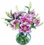 fresh stargazer lilies