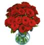 fresh black magic roses