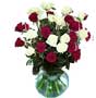 fresh red and white roses