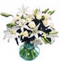 fresh white beauty flower bouquet