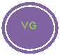 Conector: VG