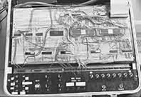Acorn VIII - picture
