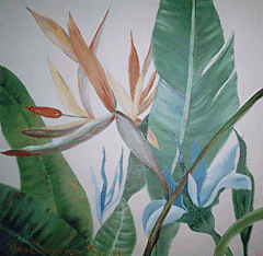 Azul da Mata