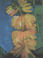 Banana da Terra