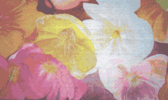 Flores de Outono