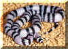 banana.jpg (68936 bytes)