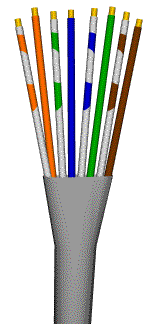 CAT5 Normal