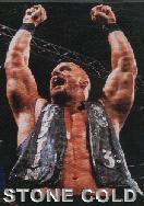 Stone Cold dot com