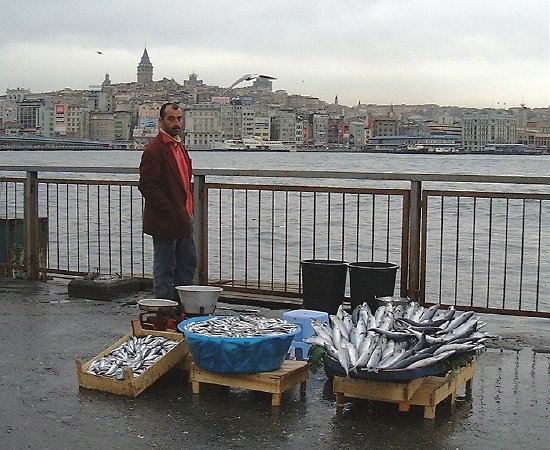  Fishmonger, at the Golden Horn (Istanbul) 