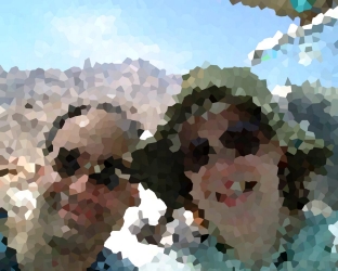 Marc & Karen at Arles!