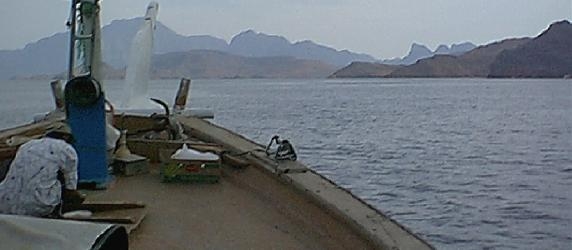 Taking in the scenery on board