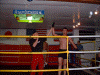 cdvic.jpg (113197 bytes)