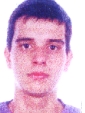 afonso octavio