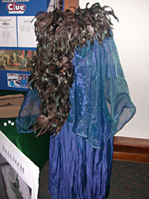 Clue Costumes 2