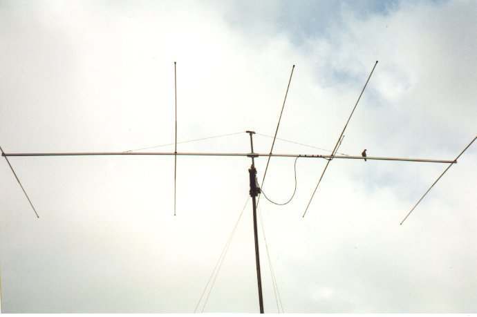 5yagi3.jpg (14446 byte)