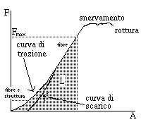 Corde: elasticita`