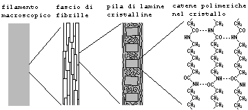 Struttura di un filamento di nylon