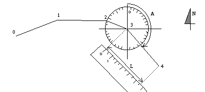 Pianta: disegno