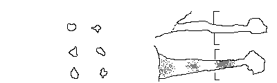 Sezioni trasversali: disegno