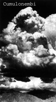 Nuvole: cumuli