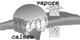 Polartec