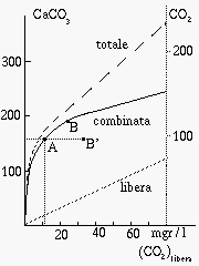 CaCO3 e CO2 in soluzione