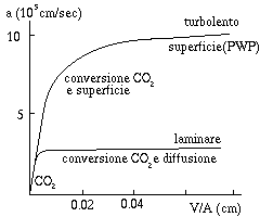 Coefficente di dissoluzione