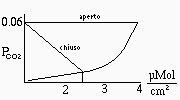 Dissoluzione